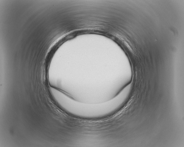 X0000115541069200912041006