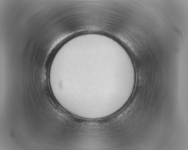 X0000115541070200912041006