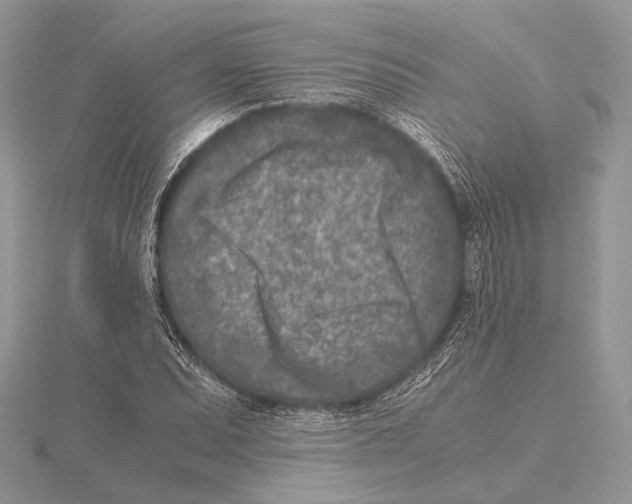 X0000115541071200912041006