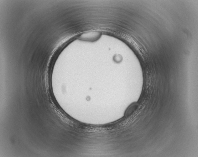 X0000115541072200912041006