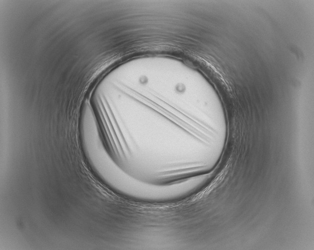 X0000115541073200912041006