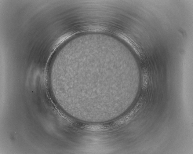 X0000115541074200912041006