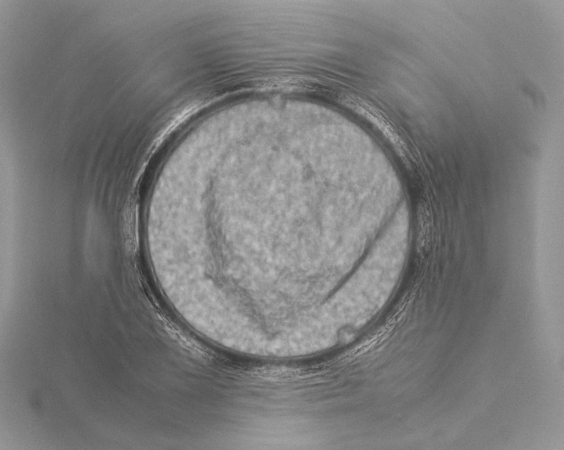 X0000115541075200912041006