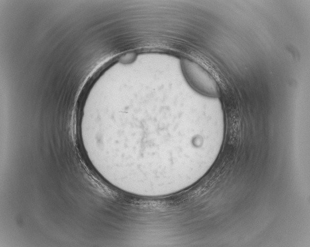 X0000115541076200912041006