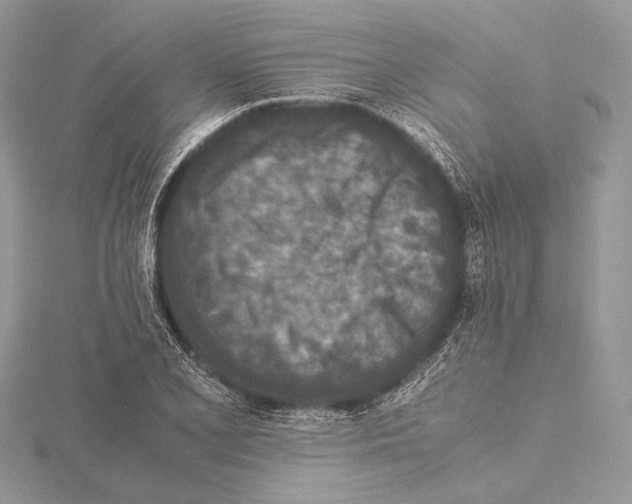 X0000115541077200912041006