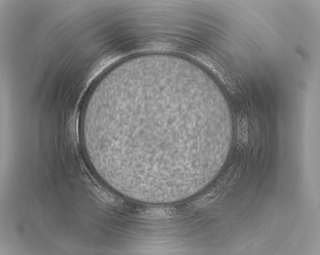 X0000115541078200912041006