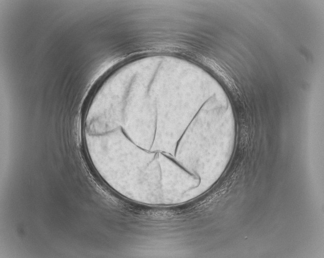 X0000115541079200912041006