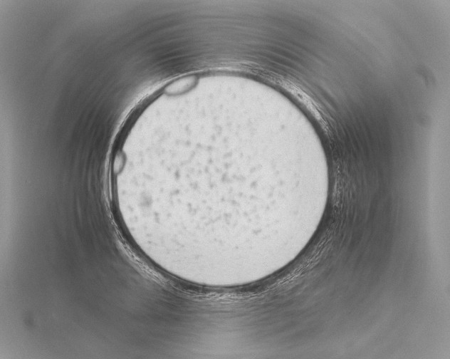 X0000115541080200912041006