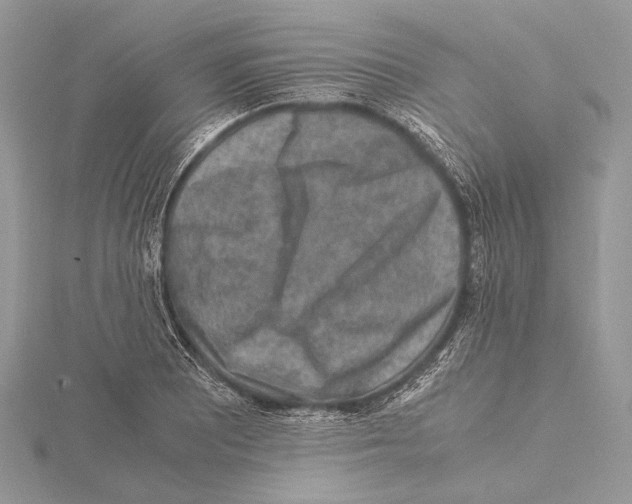 X0000115541081200912041006