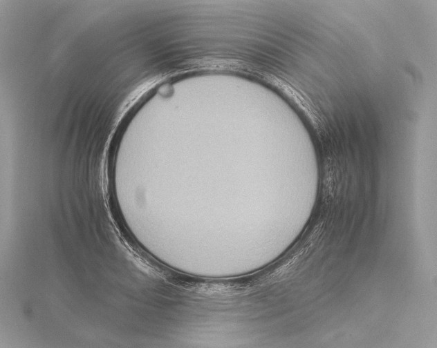 X0000115541082200912041006