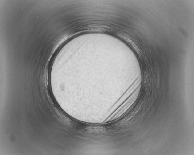 X0000115541083200912041006