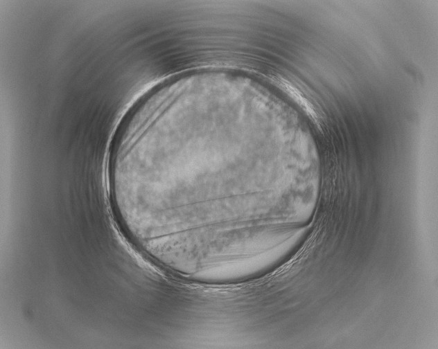 X0000115541084200912041006