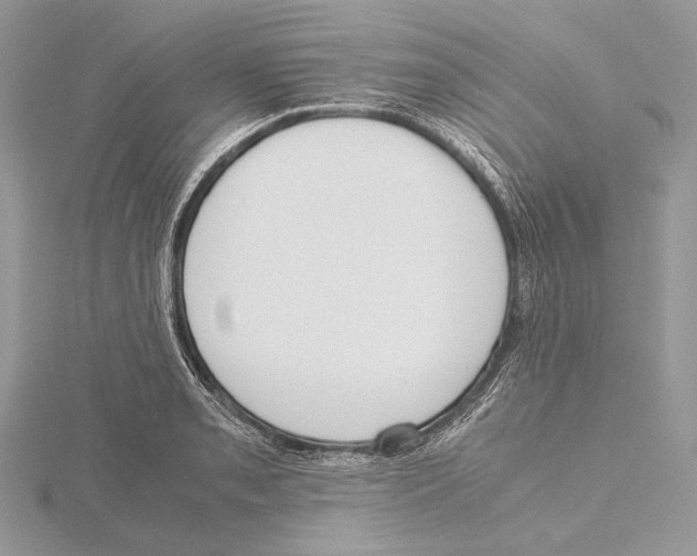 X0000115541085200912041006