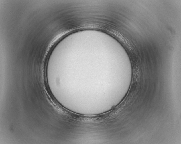 X0000115541086200912041006