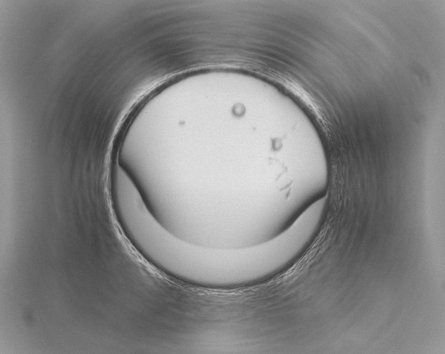 X0000115541088200912041006