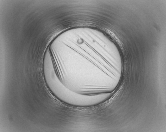 X0000115541089200912041006