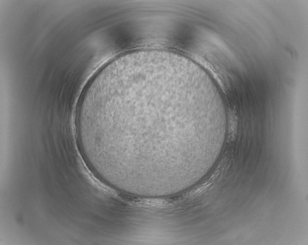 X0000115541090200912041006