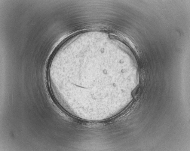 X0000115541091200912041006