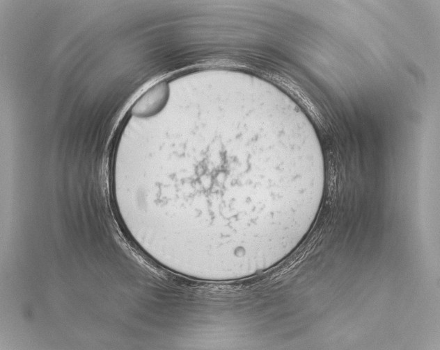 X0000115541092200912041005