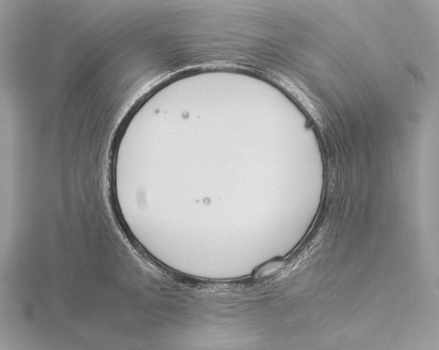 X0000115541093200912041005