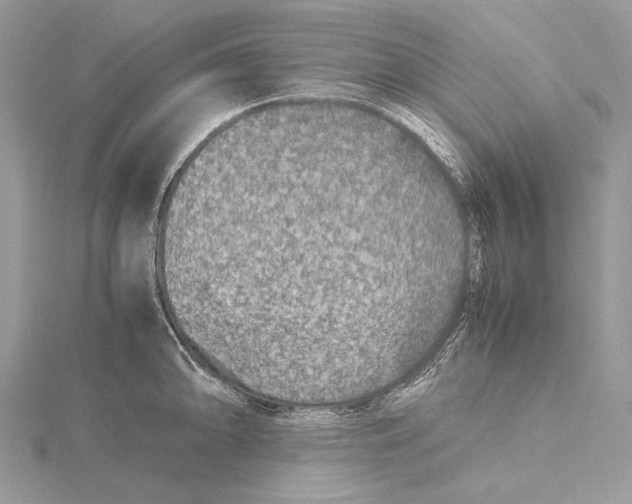 X0000115541094200912041005