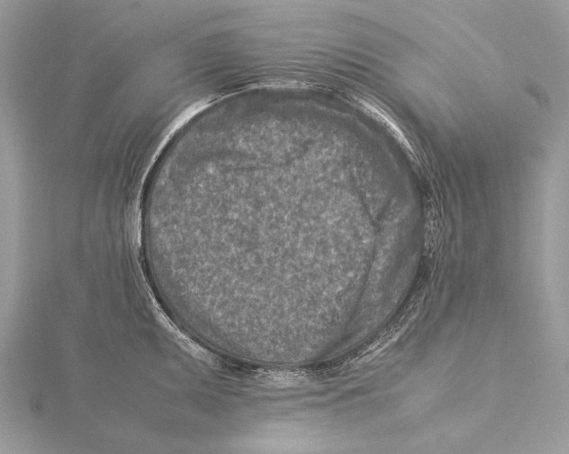 X0000115541095200912041005