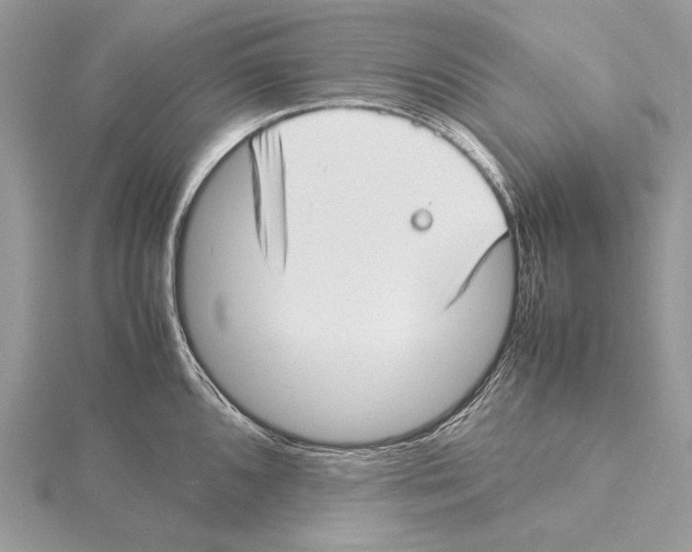 X0000115541096200912041005