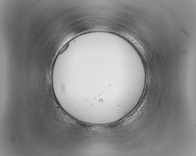 X0000115541097200912041005