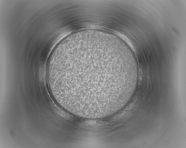 X0000115541098200912041005