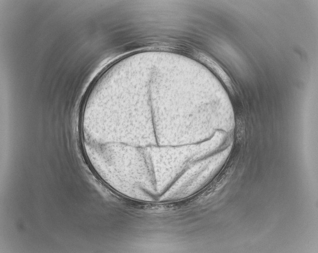 X0000115541099200912041005