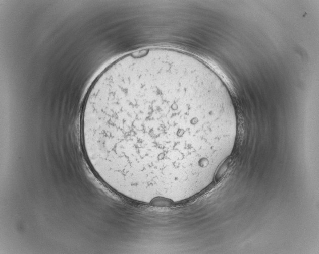 X0000115541100200912041005