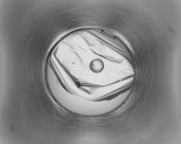 X0000115541101200912041005