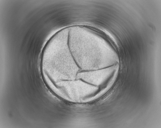 X0000115541102200912041005