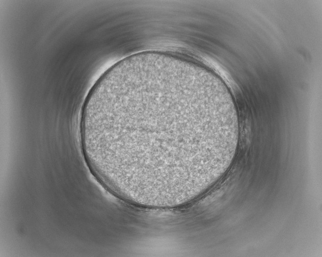 X0000115541103200912041005