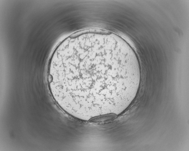 X0000115541104200912041005