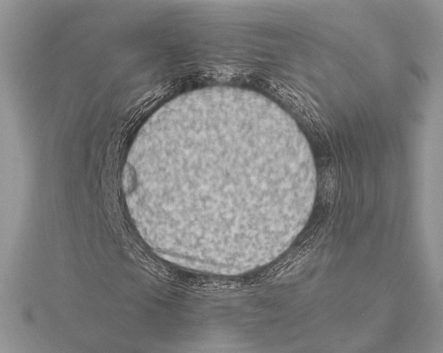 X0000115541105200912041005