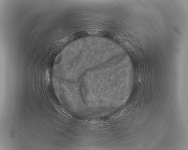 X0000115541106200912041005