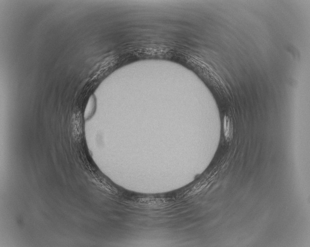 X0000115541107200912041005