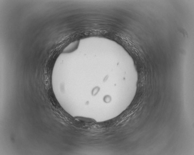 X0000115541109200912041005