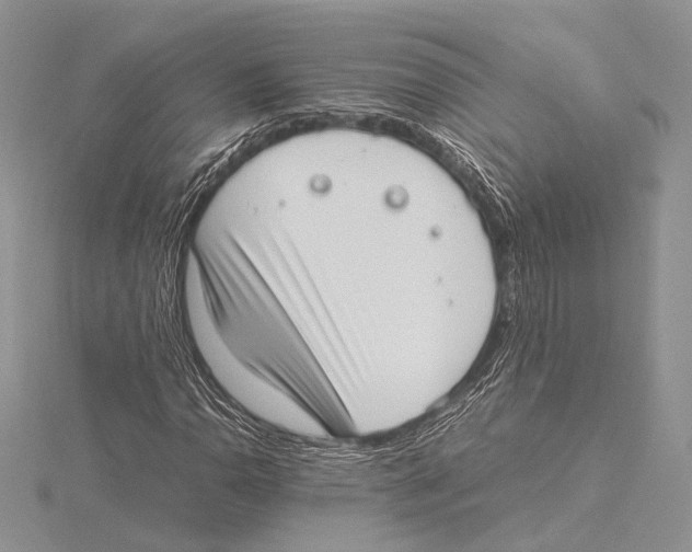 X0000115541110200912041005