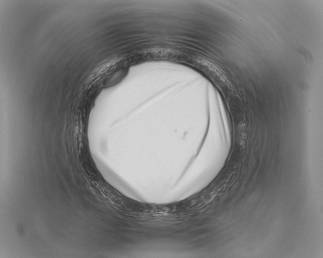 X0000115541111200912041005