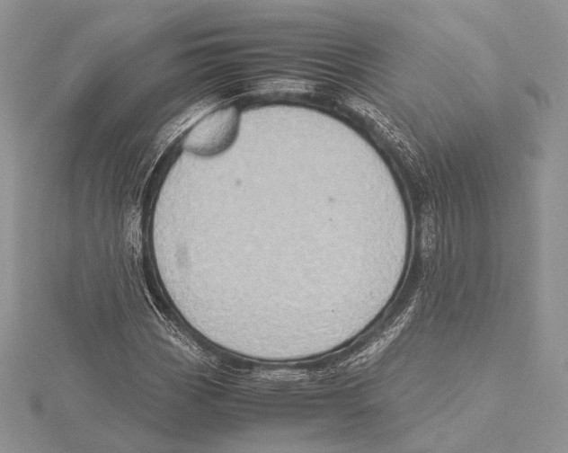 X0000115541113200912041005