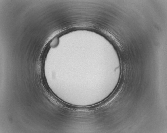 X0000115541114200912041005