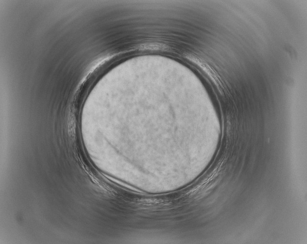 X0000115541115200912041005