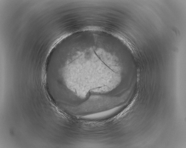 X0000115541117200912041005