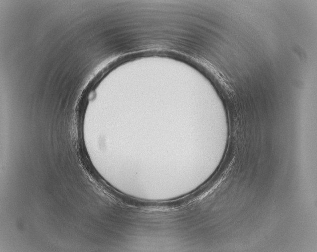 X0000115541118200912041005