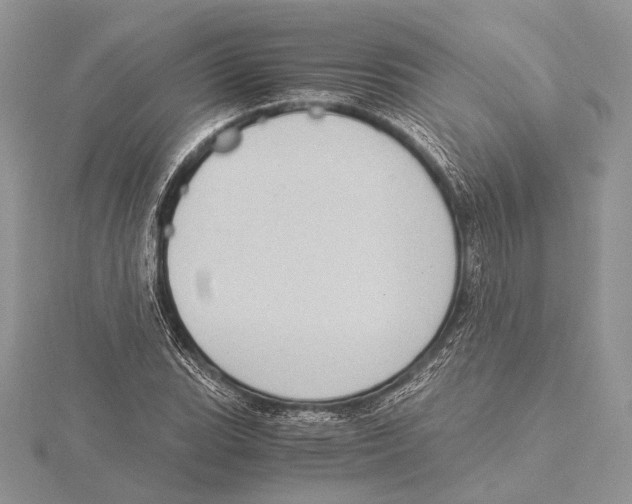 X0000115541119200912041005