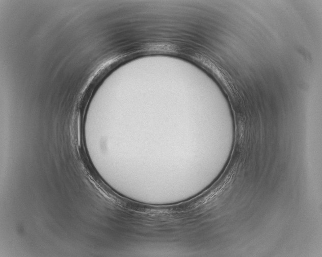 X0000115541123200912041005