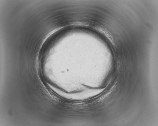 X0000115541125200912041005