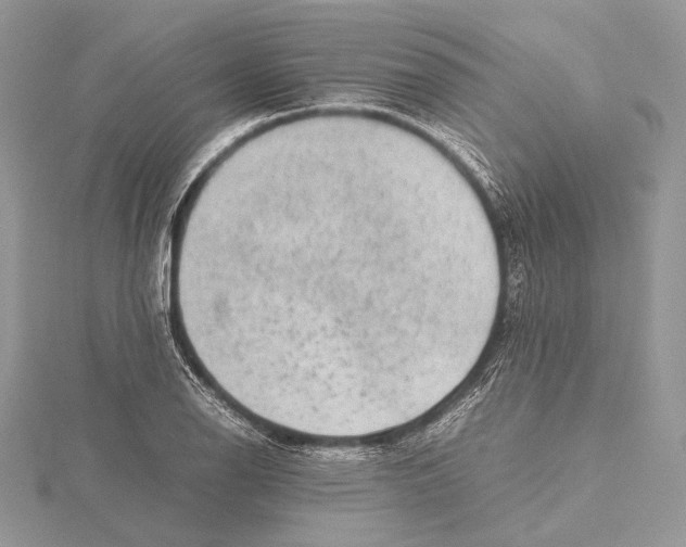 X0000115541126200912041005